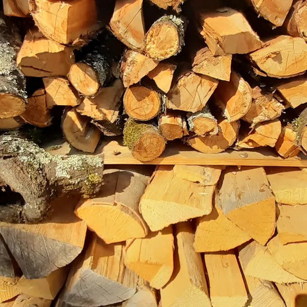Aufgeschichtetes Brennholz