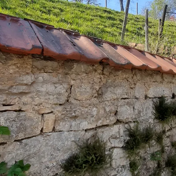 Alte Trockenmauer mit Ziegeldach im Grünen
