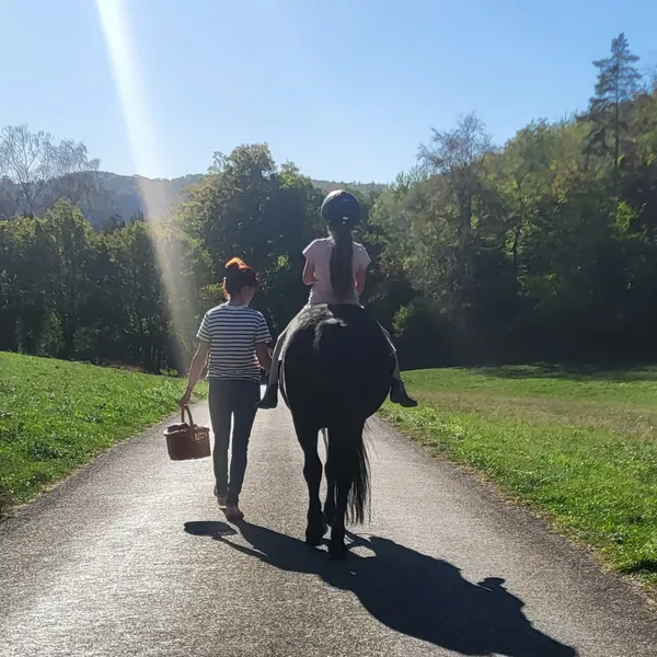 Kind reitet auf einem Islandpferd, geführt auf einem Feldweg im Gegenlicht